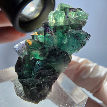 Spécimen de cube de fluorite fantôme, parqueté vert violet Okorusu, Namibie 37*22*13 mm 