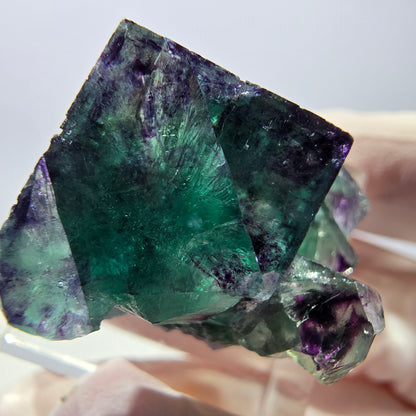 Spécimen de cube de fluorite fantôme, parqueté vert violet Okorusu, Namibie 31*25*20 mm 