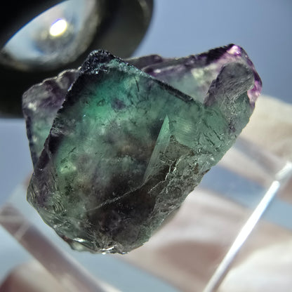 Spécimen de cube de fluorite fantôme, parqueté vert violet Okorusu, Namibie 28*21*15 mm 