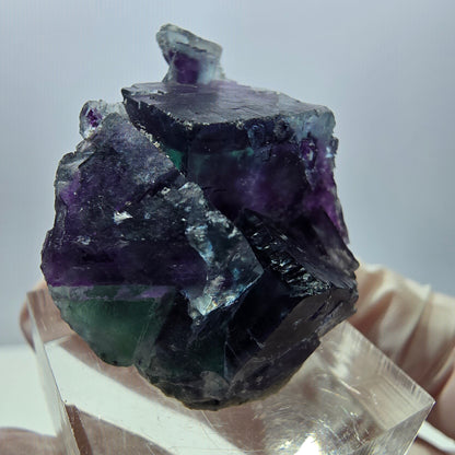 Spécimen de cube de fluorite fantôme, parqueté vert violet Okorusu, Namibie 32*28*17 mm 