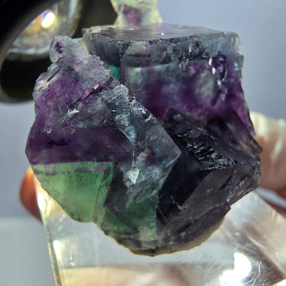 Spécimen de cube de fluorite fantôme, parqueté vert violet Okorusu, Namibie 32*28*17 mm 