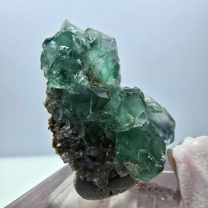 Spécimen de cube de fluorite fantôme, vert violet, Okorusu, Namibie, 32 x 20 x 18 mm 