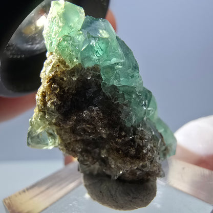 Spécimen de cube de fluorite fantôme, vert violet, Okorusu, Namibie, 32 x 20 x 18 mm 