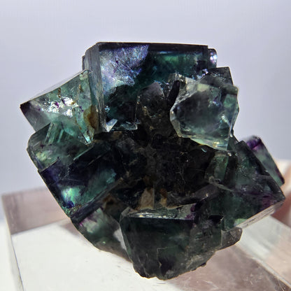 Spécimen de cube de fluorite fantôme, parqueté vert violet Okorusu, Namibie 27*21*19 mm 
