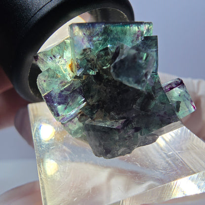 Spécimen de cube de fluorite fantôme, parqueté vert violet Okorusu, Namibie 27*21*19 mm 