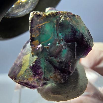 Spécimen de cube de fluorite fantôme, parqueté vert violet Okorusu, Namibie 24 x 19 x 17 mm 