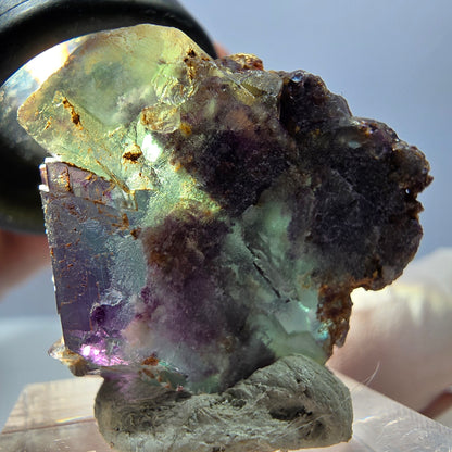Spécimen de cube de fluorite fantôme, parqueté vert violet Okorusu, Namibie 30*28*15 mm 