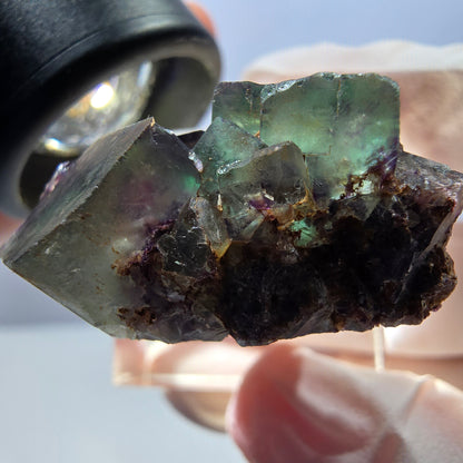 Spécimen de cube de fluorite fantôme, parqueté vert violet Okorusu, Namibie 30*28*15 mm 
