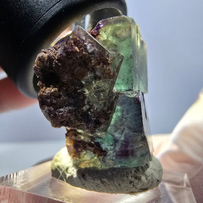 Spécimen de cube de fluorite fantôme, parqueté vert violet Okorusu, Namibie 30*28*15 mm 