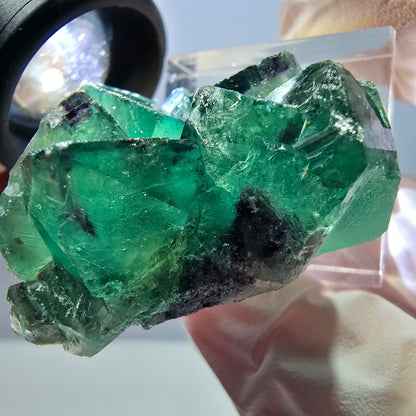 Phantom Fluorit Würfel Stufe, grün lila Okorusu, Namibia 34*30*16mm