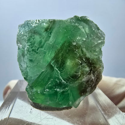 Spécimen de cube de fluorite fantôme, parquet vert Okorusu, Namibie 35*26*24 mm 