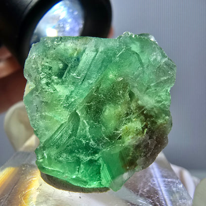 Spécimen de cube de fluorite fantôme, parquet vert Okorusu, Namibie 35*26*24 mm 
