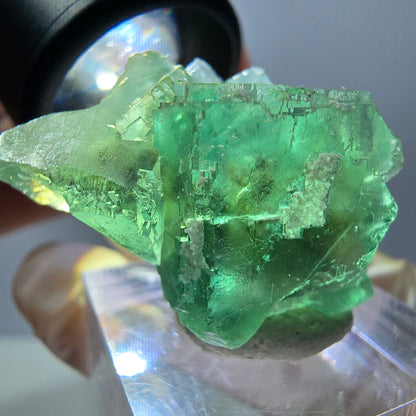 Spécimen de cube de fluorite fantôme, parquet vert Okorusu, Namibie 35*26*24 mm 