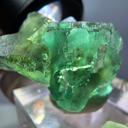 Spécimen de cube de fluorite fantôme, parquet vert Okorusu, Namibie 35*26*24 mm 