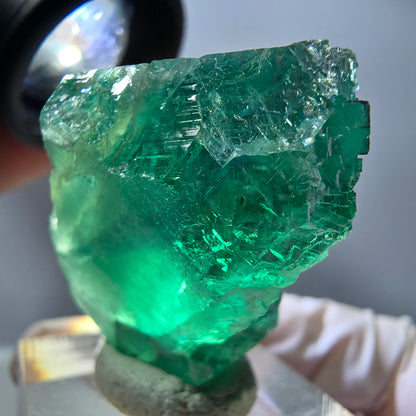 Spécimen de cube de fluorite fantôme, parquet vert Okorusu, Namibie 35 x 30 x 21 mm 