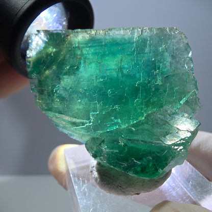 Spécimen de cube de fluorite fantôme, parquet vert Okorusu, Namibie 35 x 30 x 21 mm 