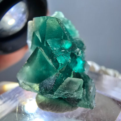 Phantom Fluorit Würfel Stufe, grün parkettiert Okorusu, Namibia 30*18*14mm