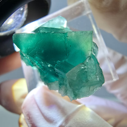 Phantom Fluorit Würfel Stufe, grün parkettiert Okorusu, Namibia 30*18*14mm