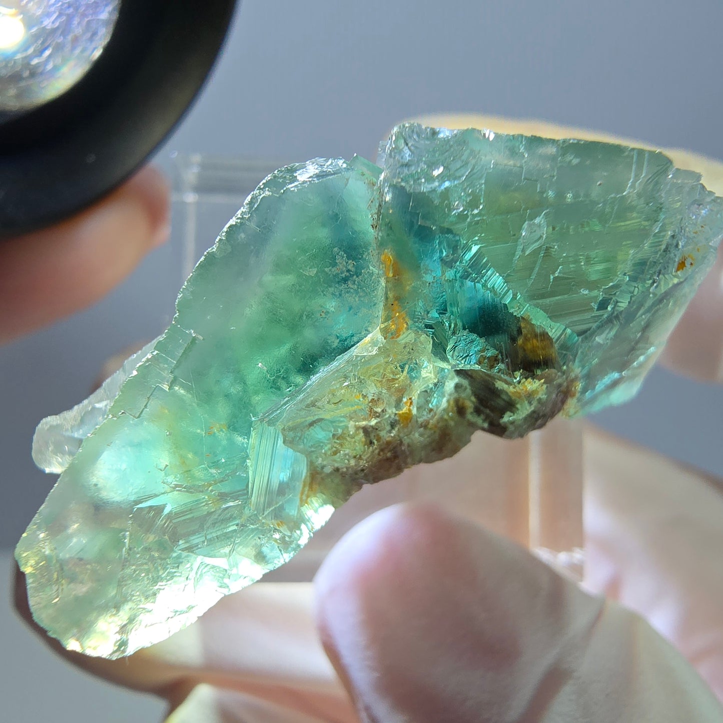Spécimen de cube de fluorite fantôme, parquet vert Okorusu, Namibie 38 x 25 x 13 mm 