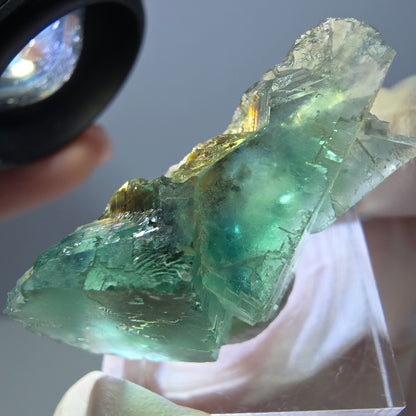 Spécimen de cube de fluorite fantôme, parquet vert Okorusu, Namibie 38 x 25 x 13 mm 