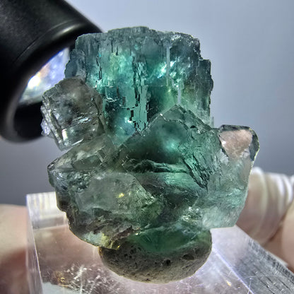 Spécimen de cube de fluorite fantôme, parquet vert Okorusu, Namibie 28 x 21 x 15 mm 