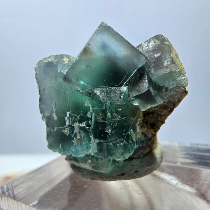 Spécimen de cube de fluorite fantôme, parquet vert Okorusu, Namibie 25 x 20 x 15 mm 