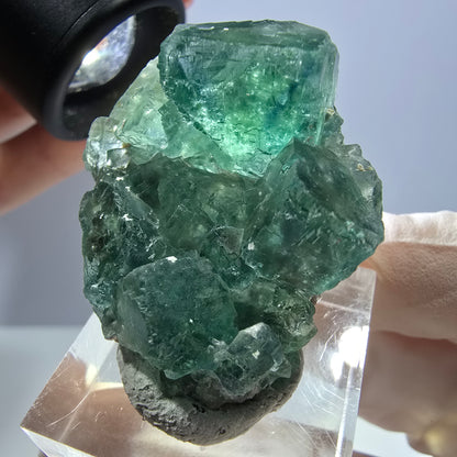 Phantom Fluorit Würfel Stufe, grün parkettiert Okorusu, Namibia 38*28*16mm