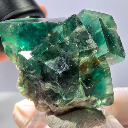 Spécimen de cube de fluorite fantôme, parquet vert Okorusu, Namibie 34 x 37 x 22 mm 