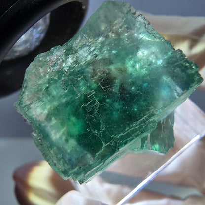 Spécimen de cube de fluorite fantôme, parquet vert Okorusu, Namibie 22 x 21 x 16 mm 
