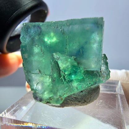 Spécimen de cube de fluorite fantôme, parquet vert Okorusu, Namibie 22 x 21 x 16 mm 