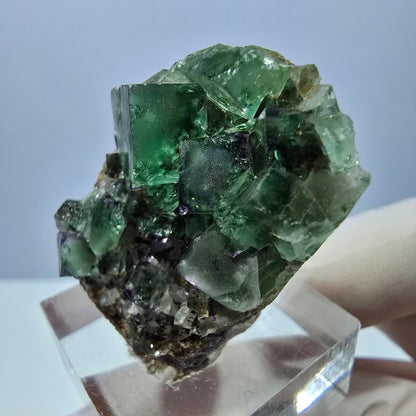 Spécimen de cube de fluorite fantôme, vert violet, Okorusu, Namibie, 34 x 28 x 13 mm 
