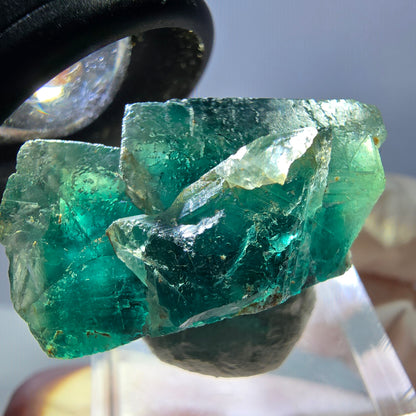 Spécimen de cube de fluorite fantôme, parquet vert Okorusu, Namibie 28*25*17 mm 