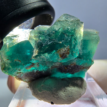 Spécimen de cube de fluorite fantôme, parquet vert Okorusu, Namibie 28*25*17 mm 