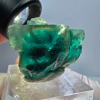 Spécimen de cube de fluorite fantôme, parquet vert Okorusu, Namibie 28*25*17 mm 