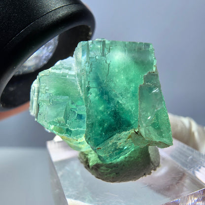 Phantom Fluorit Würfel Stufe, grün parkettiert Okorusu, Namibia 26*21*21mm