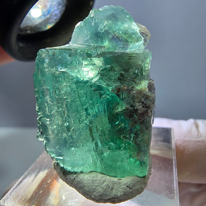 Spécimen de cube de fluorite fantôme, parquet vert Okorusu, Namibie 29 x 22 x 19 mm 