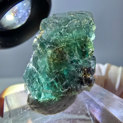 Phantom Fluorit Würfel Stufe, grün parkettiert Okorusu, Namibia 21*20*17mm