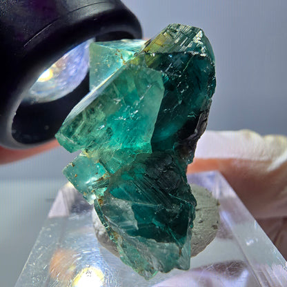 Spécimen de cube de fluorite fantôme, parquet vert Okorusu, Namibie 29*25*15 mm 