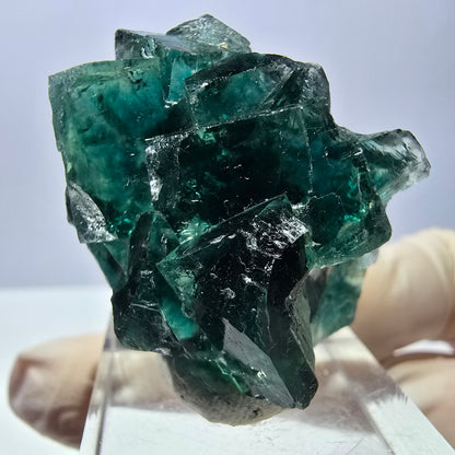 Spécimen de cube de fluorite fantôme, parquet vert Okorusu, Namibie 37 x 29 x 20 mm 