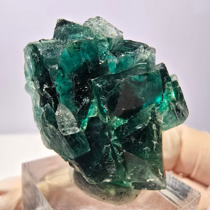 Spécimen de cube de fluorite fantôme, parquet vert Okorusu, Namibie 37 x 29 x 20 mm 