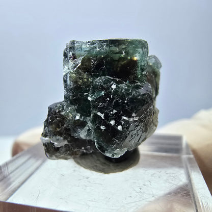 Phantom Fluorit Würfel Stufe, grün parkettiert Okorusu, Namibia 21*16*13mm