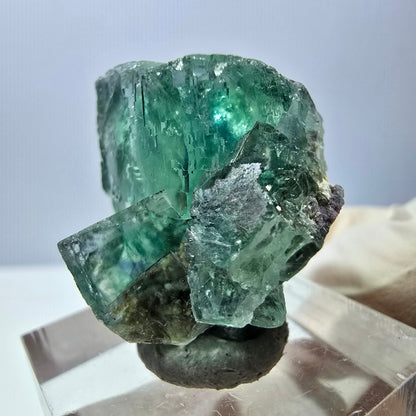 Phantom Fluorit Würfel Stufe, grün parkettiert Okorusu, Namibia 27*24*20mm