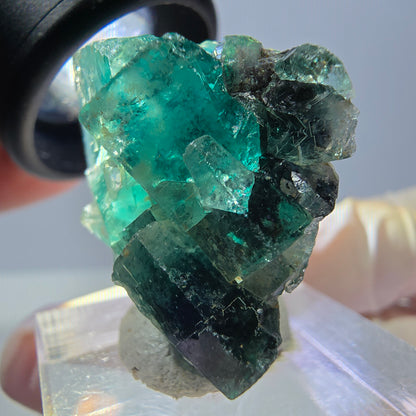 Spécimen de cube de fluorite fantôme, parquet vert Okorusu, Namibie 27 x 25 x 17 mm 