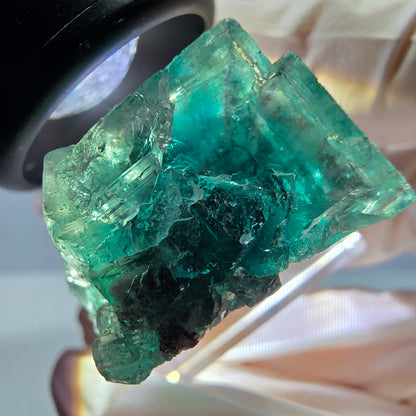 Spécimen de cube de fluorite fantôme, parquet vert Okorusu, Namibie 27 x 25 x 17 mm 