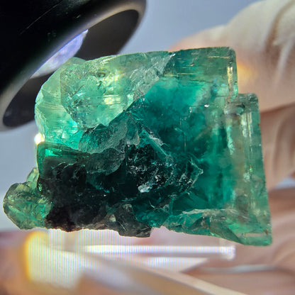 Spécimen de cube de fluorite fantôme, parquet vert Okorusu, Namibie 27 x 25 x 17 mm 