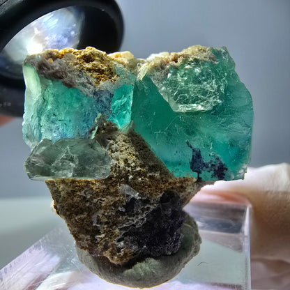 Spécimen de cube de fluorite fantôme, parquet vert Okorusu, Namibie 34*29*28 mm 