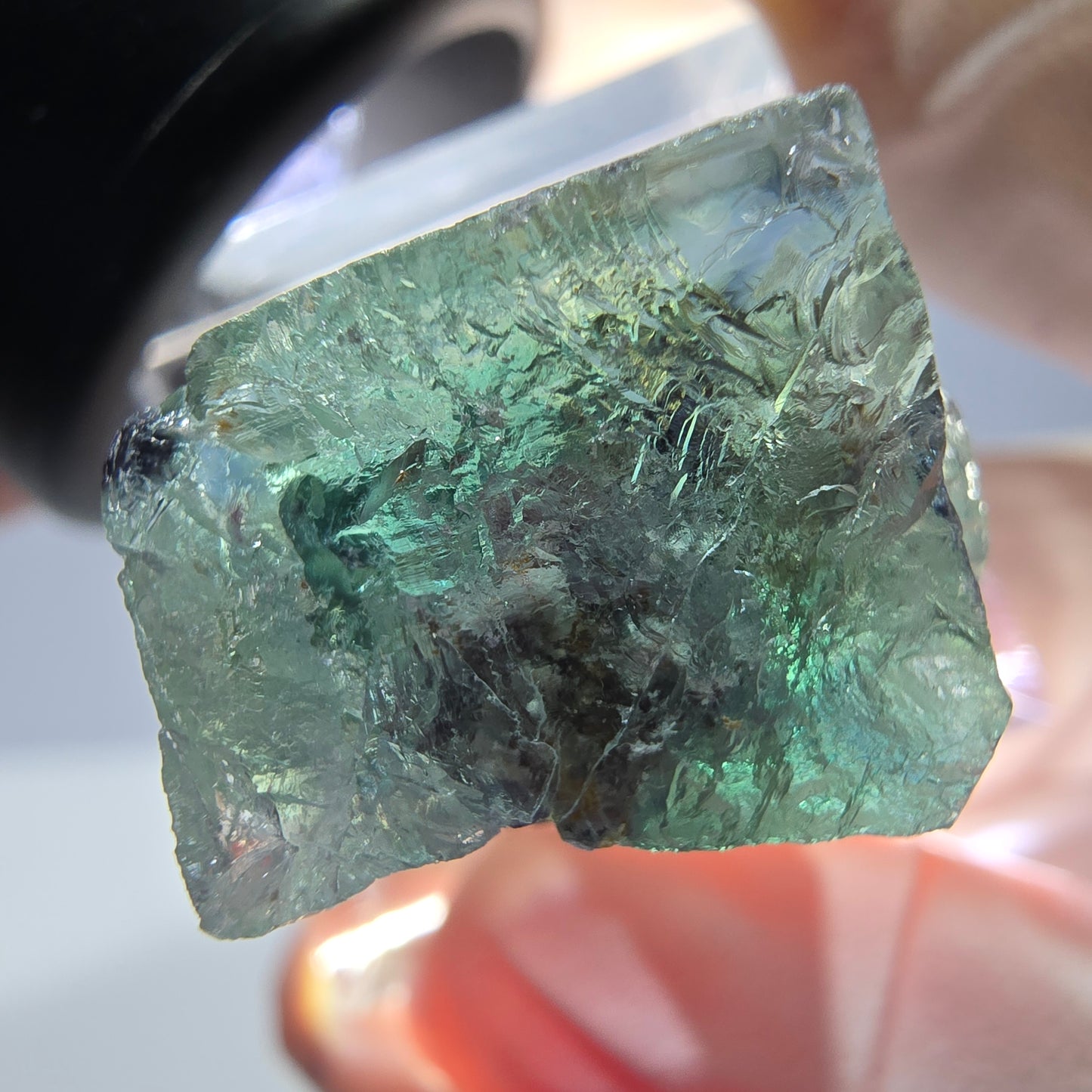 Spécimen de cube de fluorite fantôme, parquet vert Okorusu, Namibie 22 x 19 x 16 mm 
