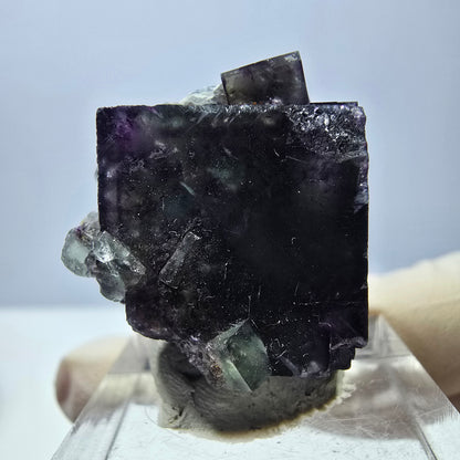 Phantom Fluorit Würfel Stufe, grün lila Okorusu, Namibia 27*22*18mm