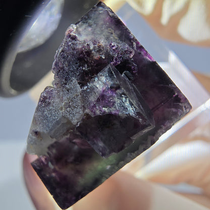 Phantom Fluorit Würfel Stufe, grün lila Okorusu, Namibia 27*22*18mm