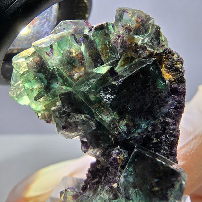 Phantom Fluorit Würfel Stufe, grün lila Okorusu, Namibia 39*30*11mm